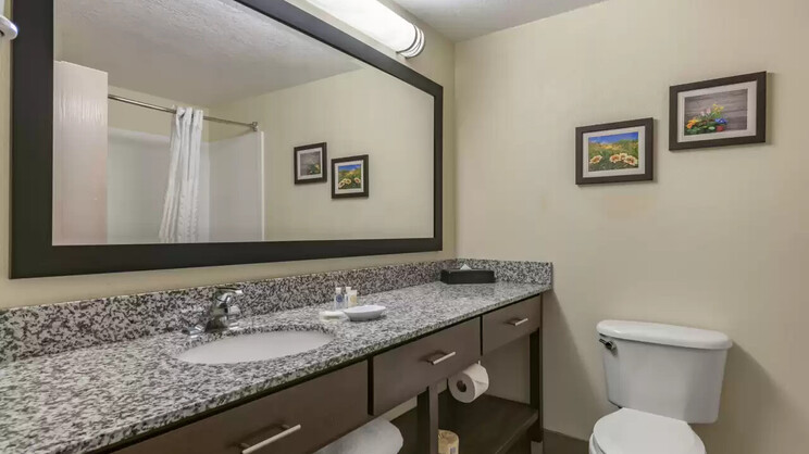 Comfort Suites Maingate East